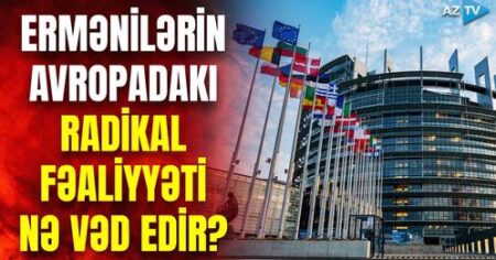 image-1267431856785561532
