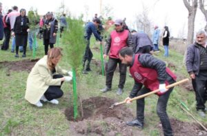image-33