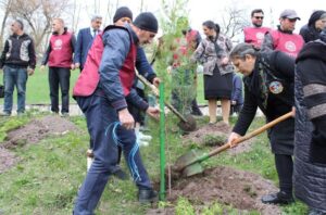 image-44