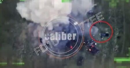 image-basarkecer-zerbe