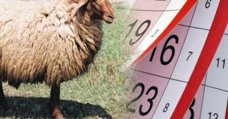 image-qurban4