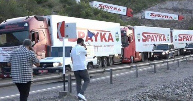 image-spayka