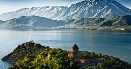 image-goyce