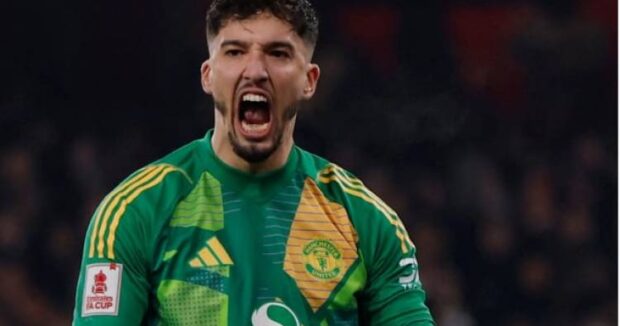 image-image_750x_68ae030aa2955