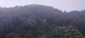 image-img_20251003_125138