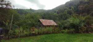 image-img_20251003_125315
