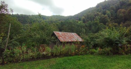 image-img_20251003_125315