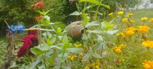 image-img_20251003_125404