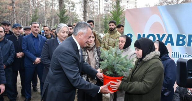 image-img-20251106-wa0158