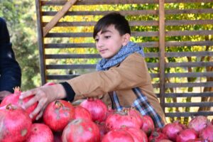 image-img-20251109-wa0114