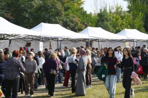 image-img-20251109-wa0118