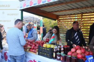 image-img-20251109-wa0120