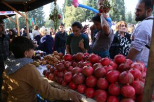 image-img-20251109-wa0124