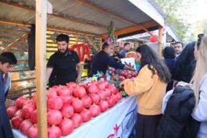 image-img-20251109-wa0126