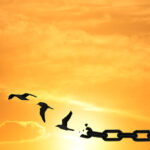 image-concept-of-freedom-by-birds-and-chain-broken-chains-transformin