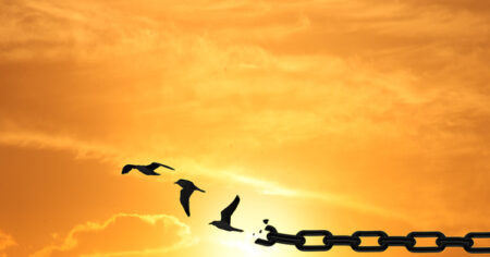 image-concept-of-freedom-by-birds-and-chain-broken-chains-transformin