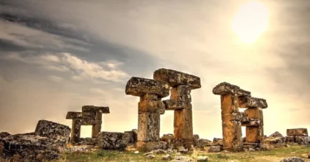 image-media-4-sp7i6z8bo2hu39y5wkrq